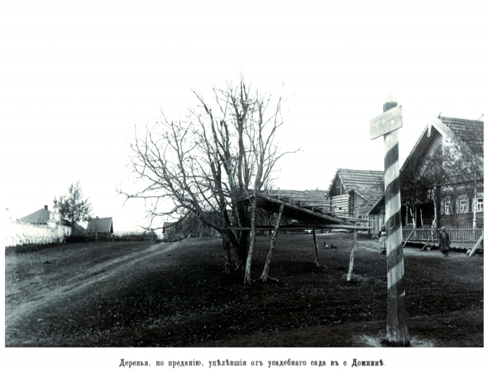 Костромичи - взгляд через 100-летие. АРХИВ Б.К. Коробова. Село Домнино